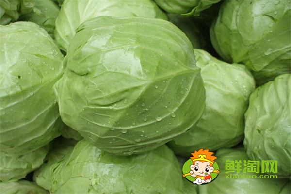 手撕包菜是卷心菜還是椰萊，椰菜和卷心菜怎么區分