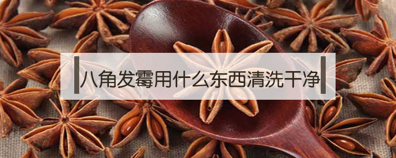 八角發霉用什么東西清洗干凈