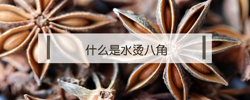 什么是水燙八角