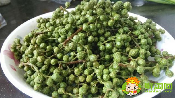 青花椒與藤椒區(qū)別，藤椒和青花椒哪個麻