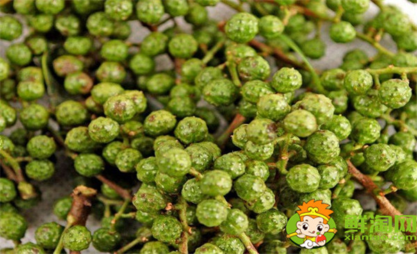 青花椒與藤椒區(qū)別,藤椒和青花椒哪個麻