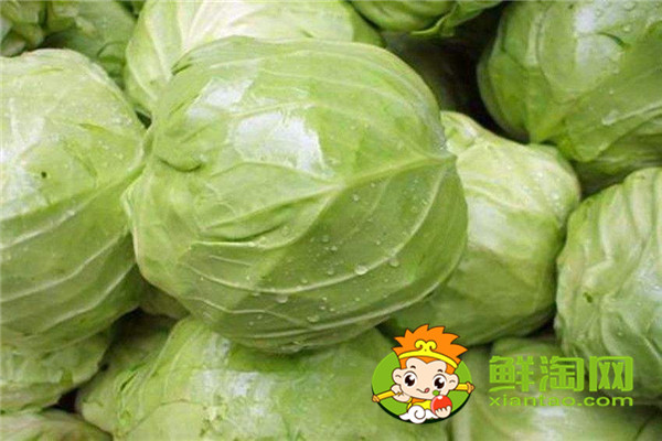 包萊怎么保存兩個月，包菜放冰箱兩個月還能吃嗎