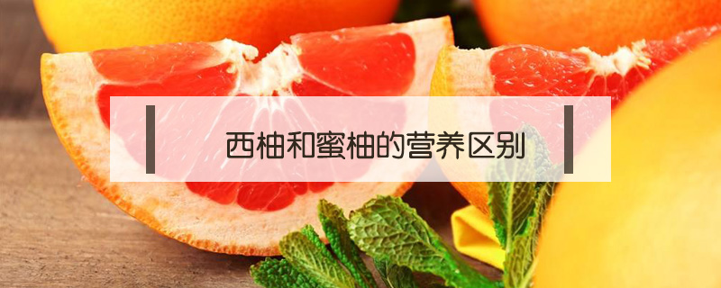 西柚和蜜柚的營養區別