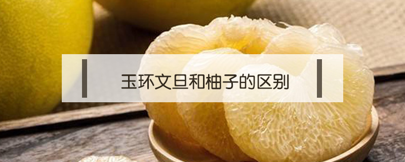 玉環文旦和柚子的區別