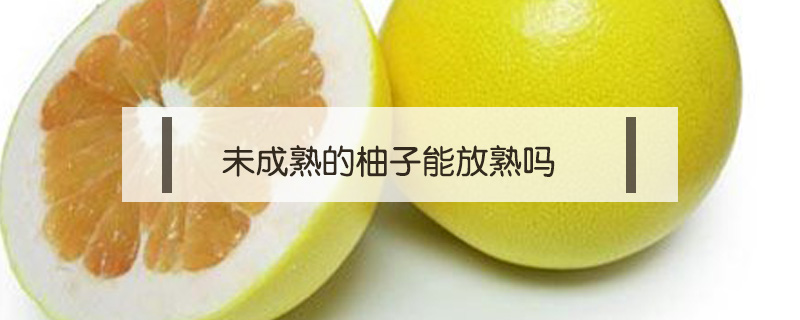 未成熟的柚子能放熟嗎