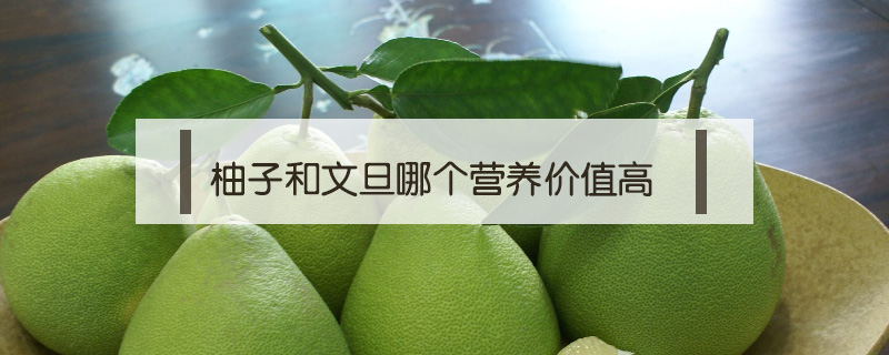 柚子和文旦哪個營養價值高