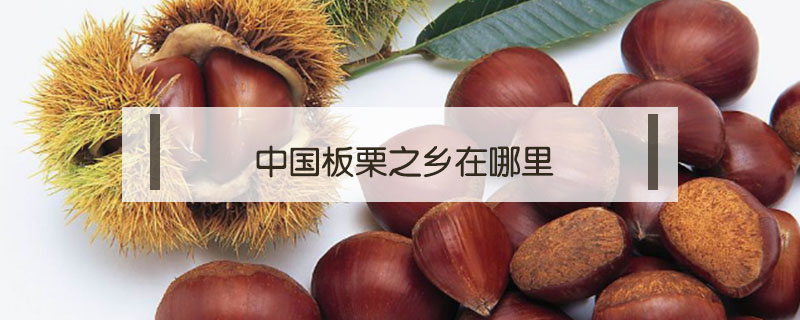 中國板栗之鄉在哪里