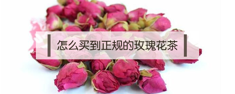 怎么買到正規(guī)的玫瑰花茶