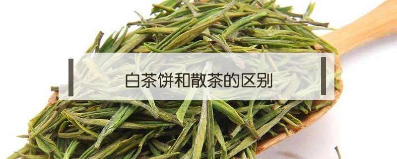 白茶餅和散茶的區(qū)別