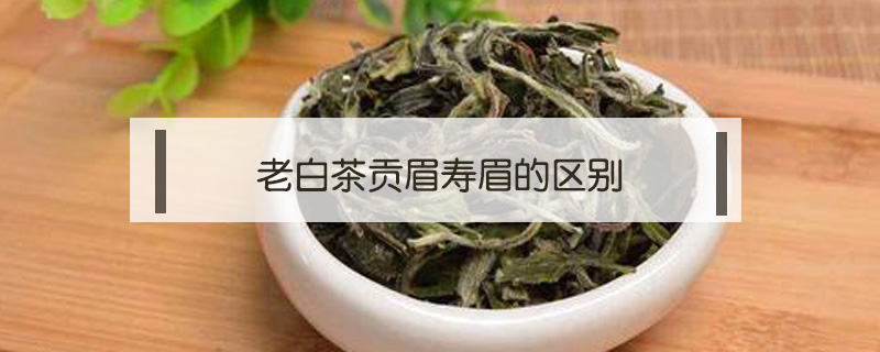 老白茶貢眉?jí)勖嫉膮^(qū)別