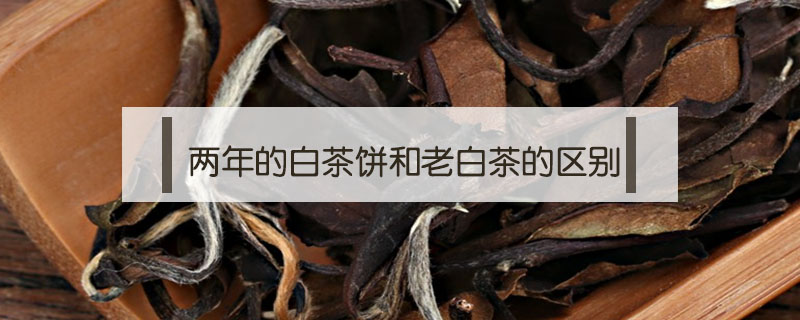 兩年的白茶餅和老白茶的區別