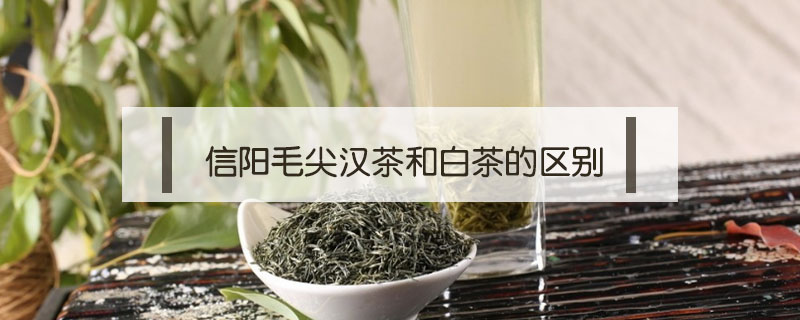 信陽(yáng)毛尖漢茶和白茶的區(qū)別
