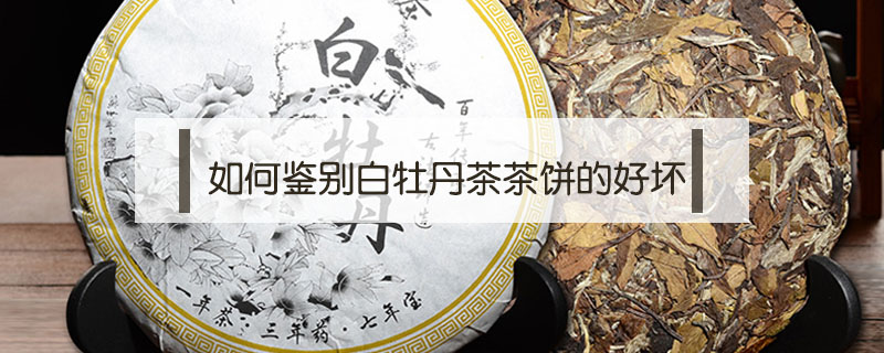 如何鑒別白牡丹茶茶餅的好壞