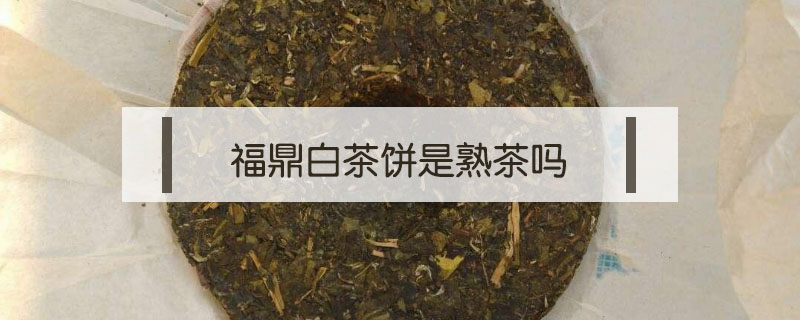 福鼎白茶餅是熟茶嗎