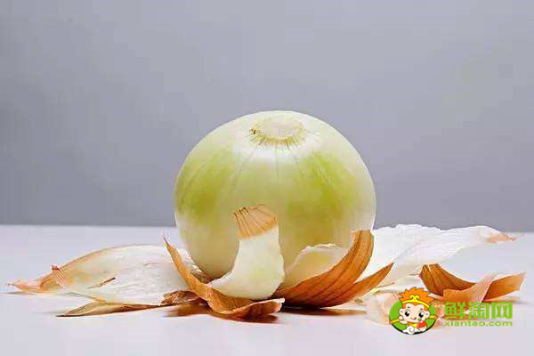 什么人不宜吃洋蔥，小洋蔥能生吃嗎