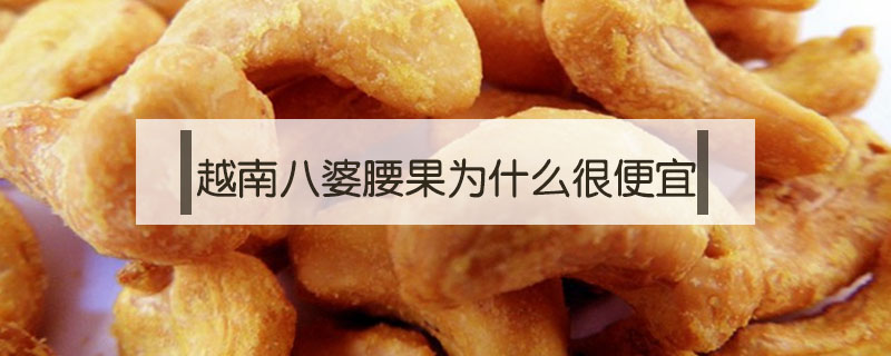 越南八婆腰果為什么很便宜