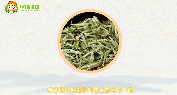 綠茶陳茶和新茶的區別