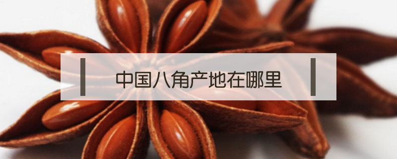 中國八角產(chǎn)地在哪里