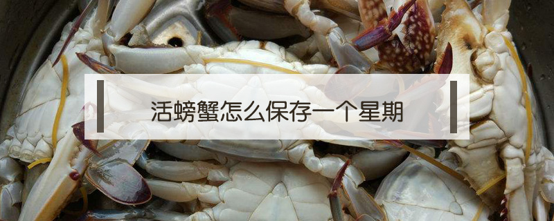 活螃蟹怎么保存一個(gè)星期