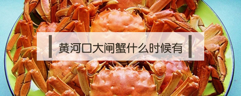 黃河口大閘蟹什么時(shí)候有