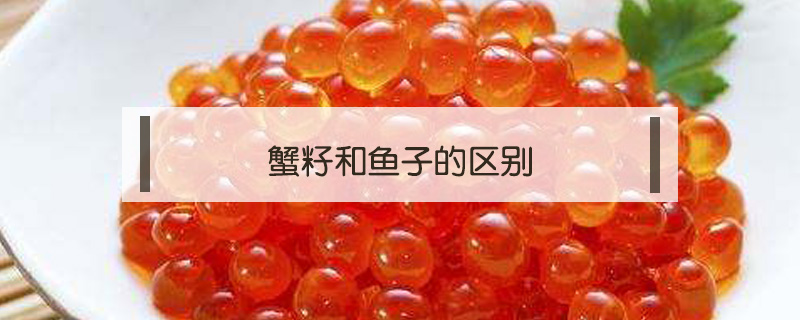 蟹籽和魚子的區(qū)別