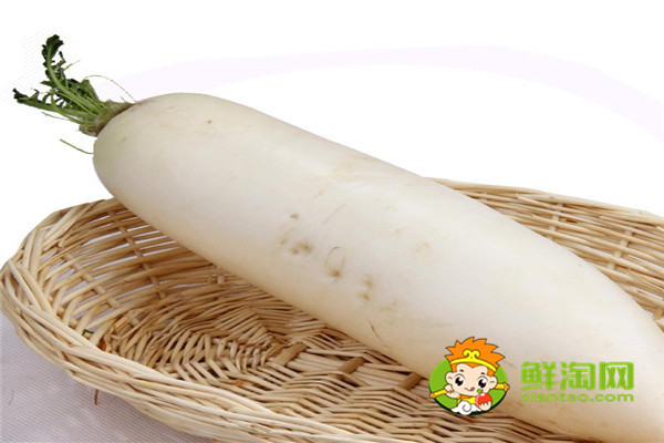 泡白蘿卜的水還可以泡什么,泡蘿卜是用什么水