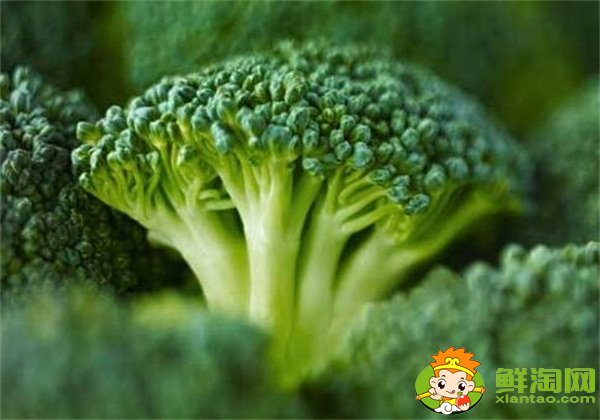 西蘭花變白了能吃嗎，西蘭花吃多了的害處