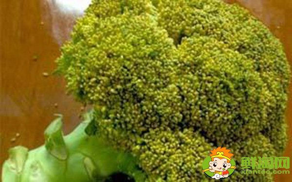 西蘭花可以直接煮著吃嗎，西蘭花放黃怎樣變綠