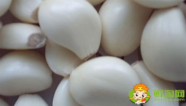金鄉(xiāng)大蒜最新價(jià)格,一九年下半年大蒜行情
