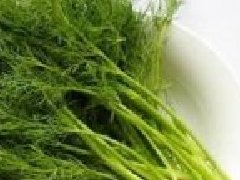 茴香菜長什么樣，茴香有幾種叫法