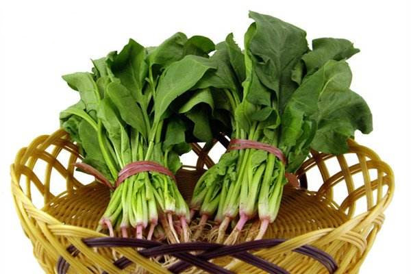 菠菜的食用部分屬于葉嗎，菠菜根吃了有什么好處