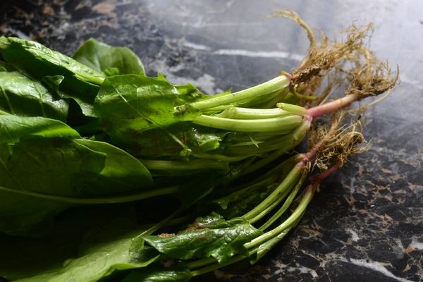 菠菜根色是什么顏色，蔥和菠菜的根有什么不同