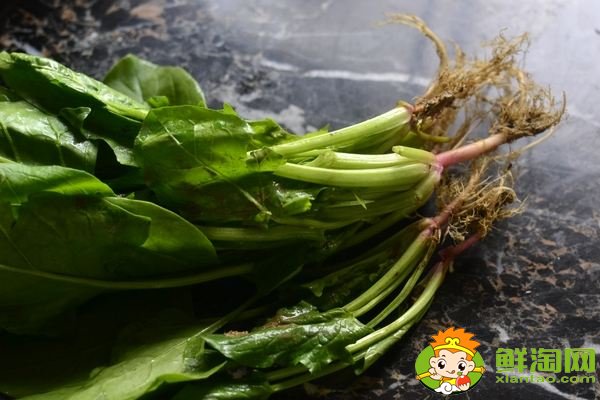 菠菜根色是什么顏色，蔥和菠菜的根有什么不同