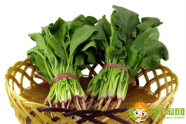 菠菜賤賣是什么梗,網(wǎng)絡語菠菜是什么意思