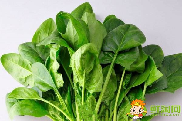 菠菜賤賣是什么梗，網(wǎng)絡語菠菜是什么意思