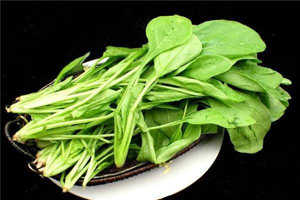 兒童吃菠菜怎么做好吃，這么做兒童吃了根本停不下來