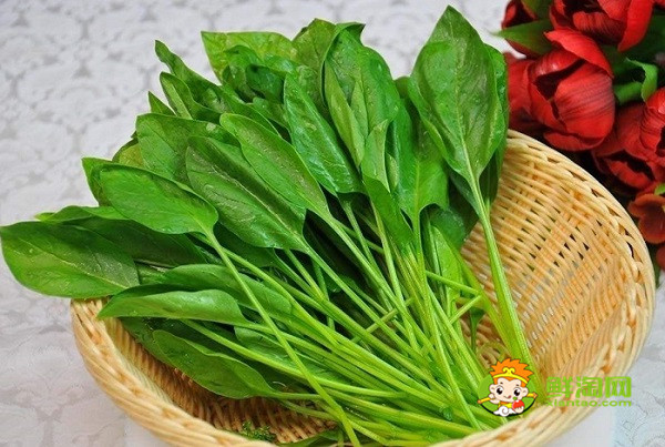 兒童吃菠菜怎么做好吃,這么做兒童吃了根本停不下來