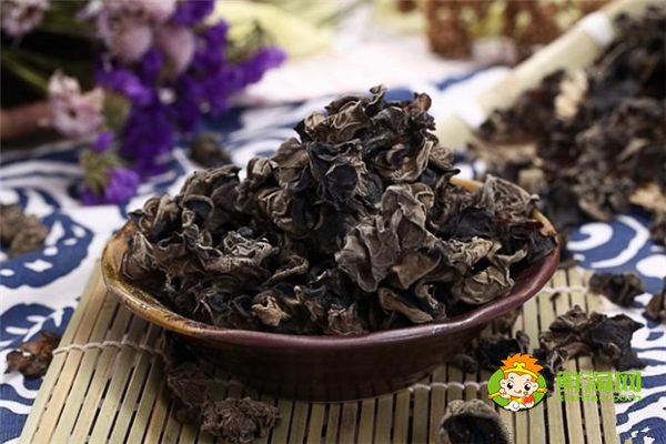 白蘿卜不能和什么一起吃，白蘿卜的克星有山藥人參
