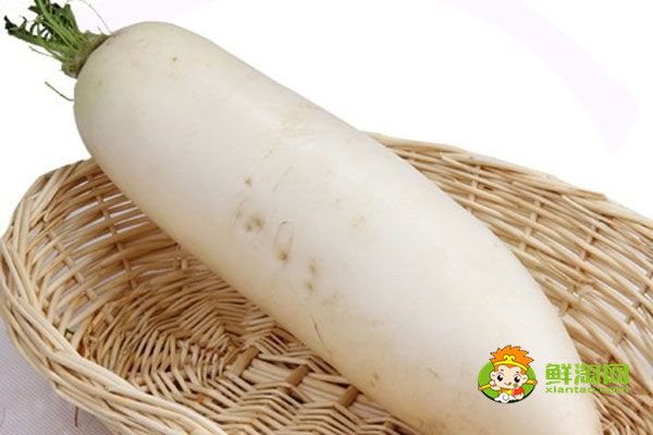 白蘿卜不能和什么一起吃，白蘿卜的克星有山藥人參