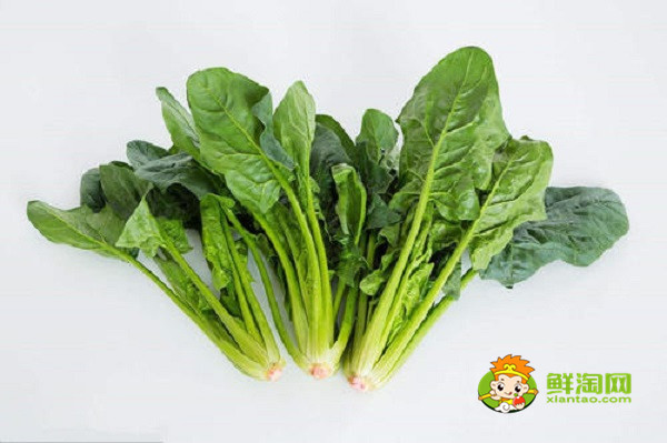 菠菜豆腐相克嗎，菠菜相克的食物有哪些
