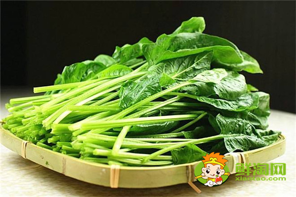 菠菜保鮮和儲存方法，菠菜為什么不能晚上吃