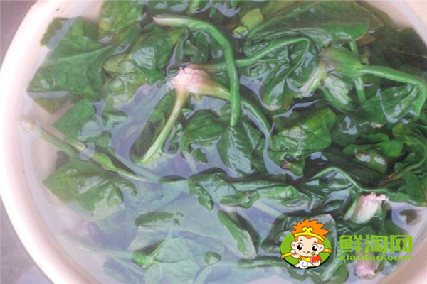 菠菜涼拌怎么好吃,菠菜涼拌要焯水多長時間才行