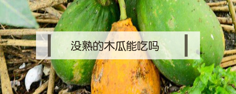 沒(méi)熟的木瓜能吃嗎