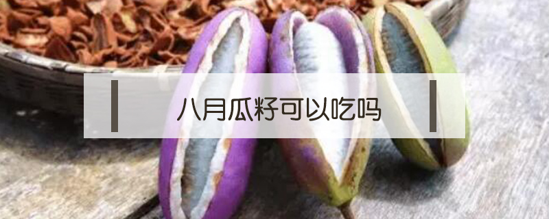 八月瓜籽可以吃嗎