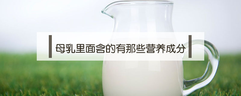 母乳里面含的有那些營養(yǎng)成分