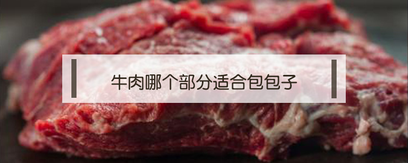 牛肉哪個(gè)部分適合包包子