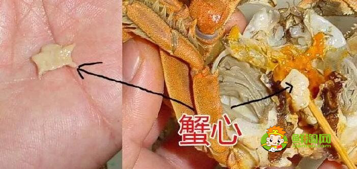 螃蟹怎么吃圖解，螃蟹哪里不能吃高清圖