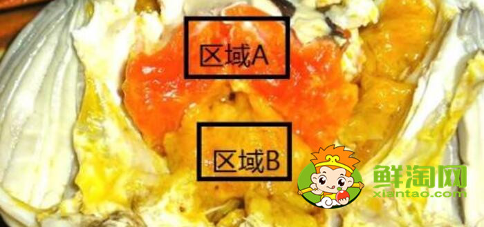螃蟹怎么吃圖解，螃蟹哪里不能吃高清圖