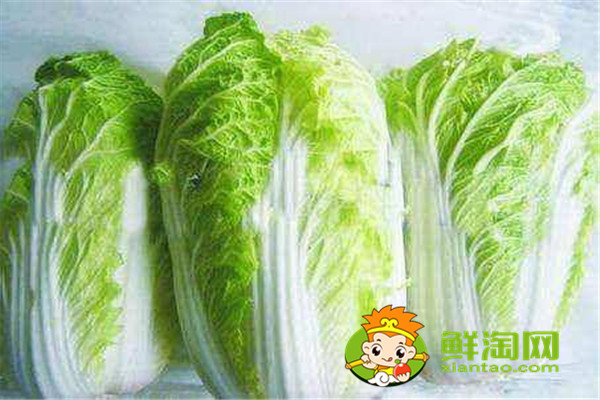 大白菜的營(yíng)養(yǎng)價(jià)值及功效，怎么挑選新鮮大白菜