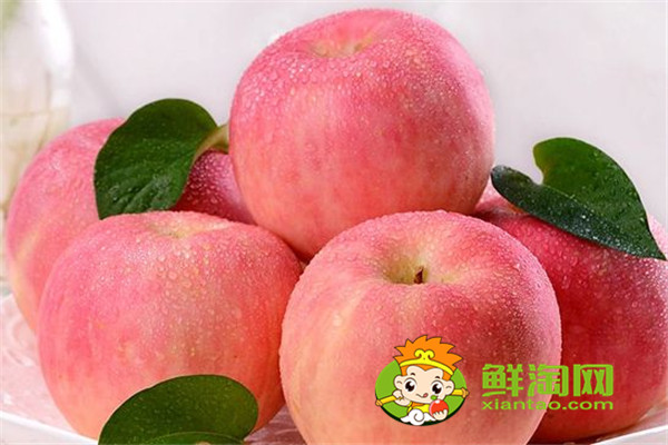 冬季蘋果儲(chǔ)存方法,海棠果是蘋果嗎